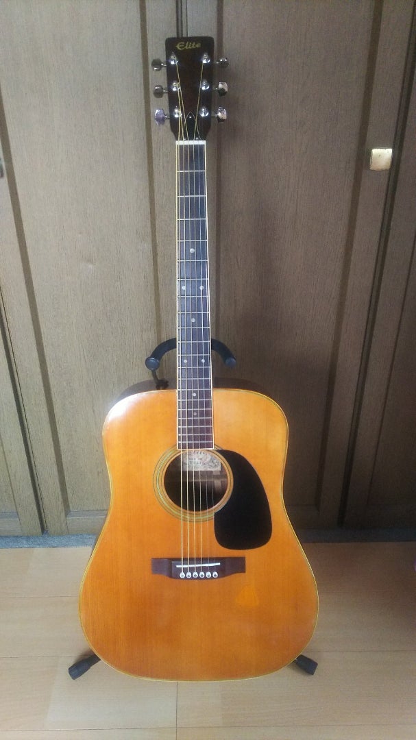 No：2 Takamine Elite TW-40 ハカランダ・トップ単板 | ゆずマンの