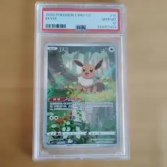 2026年最新】ポケモンカード 中国 イーブイの人気アイテム - メルカリ