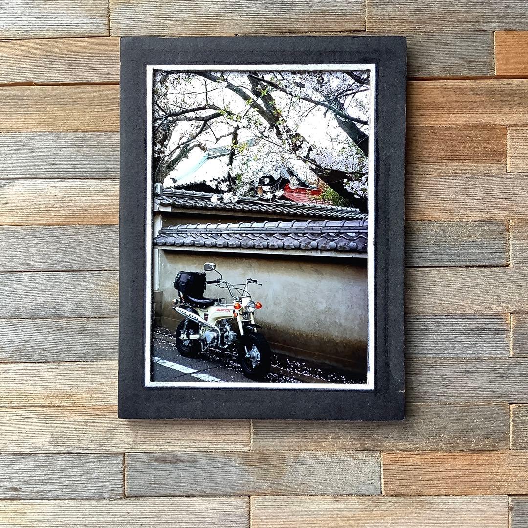 SONY α7用改造レンズ(ツアイステッサ35ミリf 3.5)