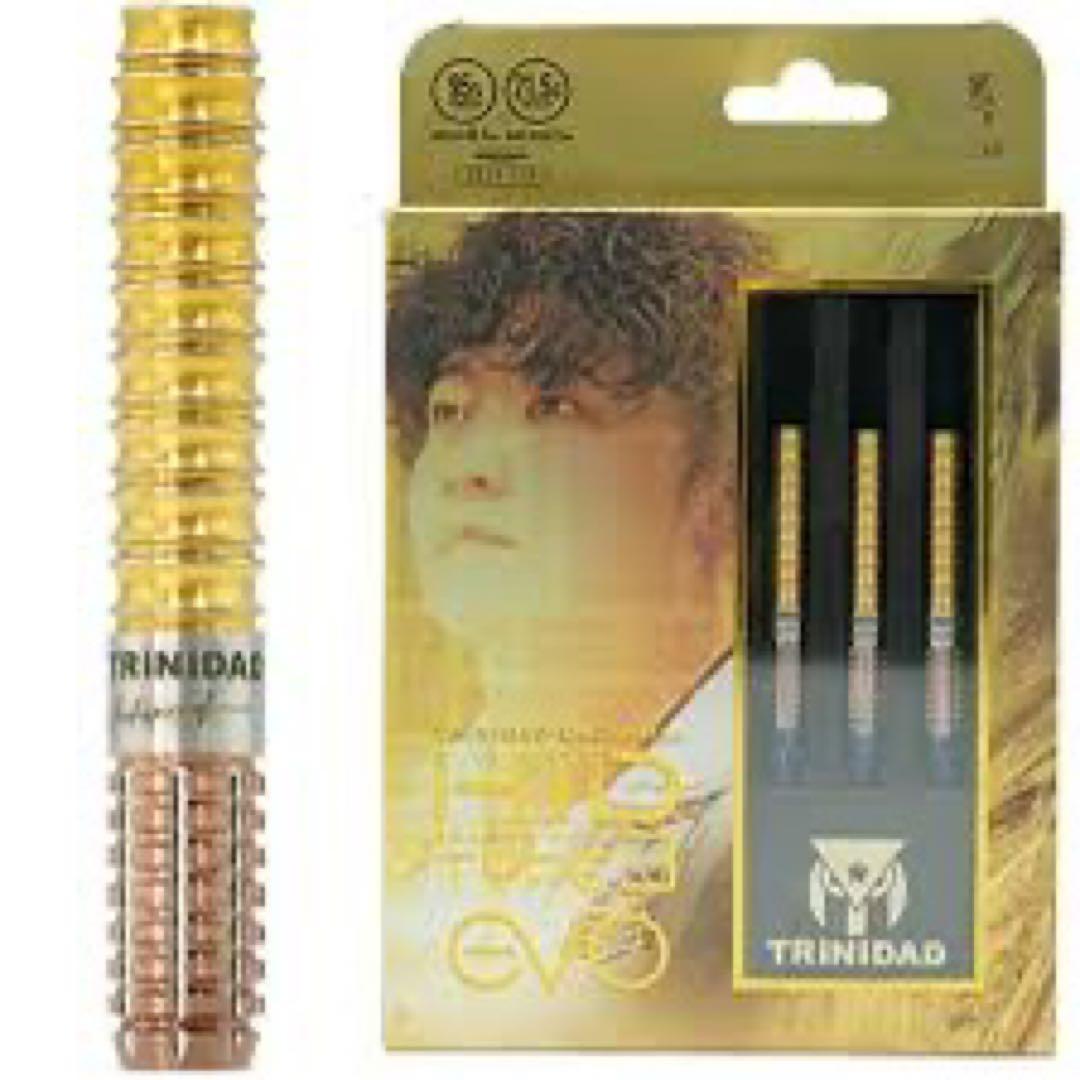 TRINIDAD トリニダードKID3 EVO 後藤智弥　キッド3 エボ 楽天市場】ダーツ キッド3 エボ TRiNiDAD KID TYPE3 EVO 後藤智弥